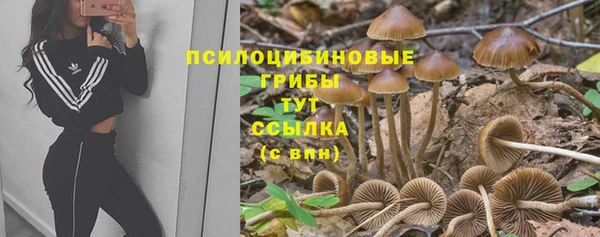 2c-b Сафоново