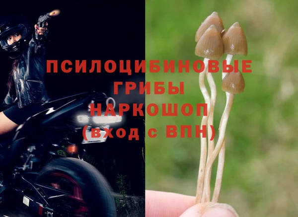 дживик Алексеевка