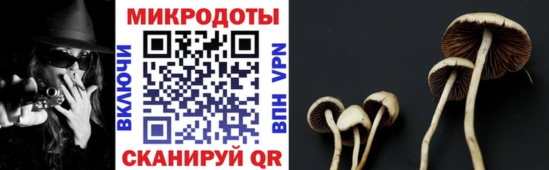 Псилоцибиновые грибы ЛСД  сколько стоит  Ивдель 
